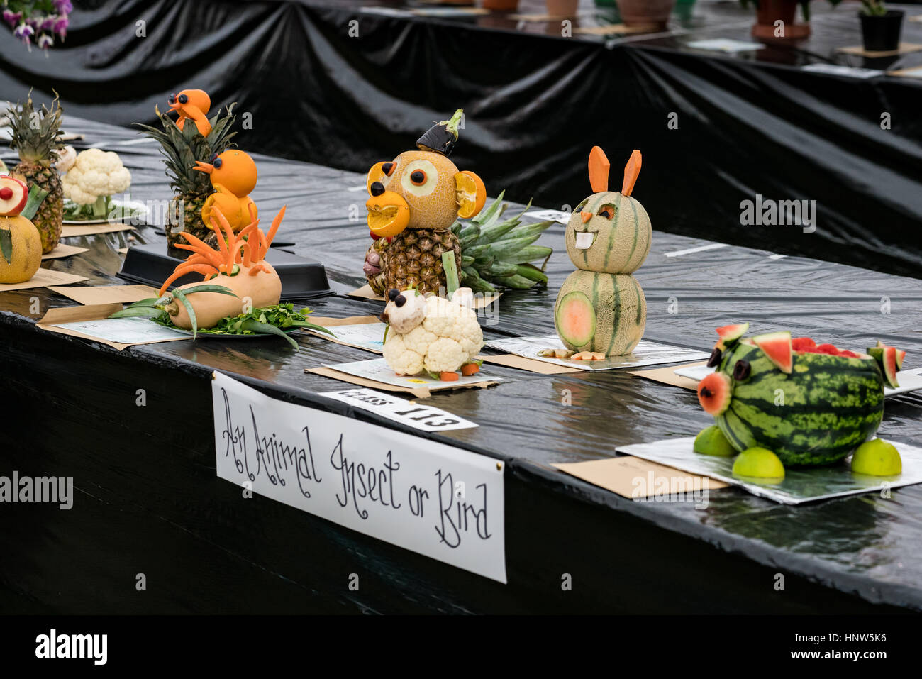 Entries in the novelty fruit and vegetable animal competition at the Anglesey Show Stock Photo