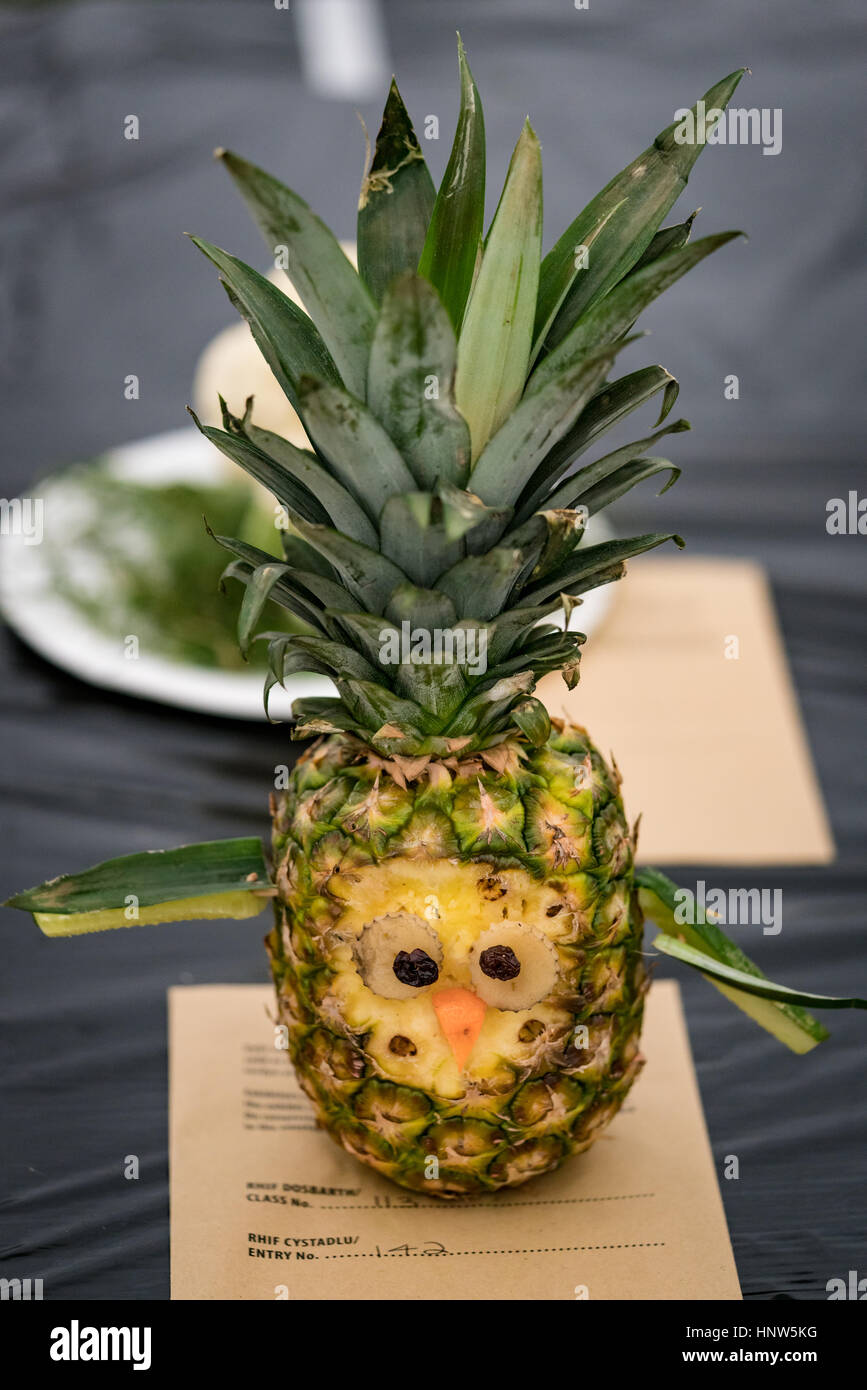 Pineapple owl in the novelty fruit and vegetable animal competition at the Anglesey Show Stock Photo