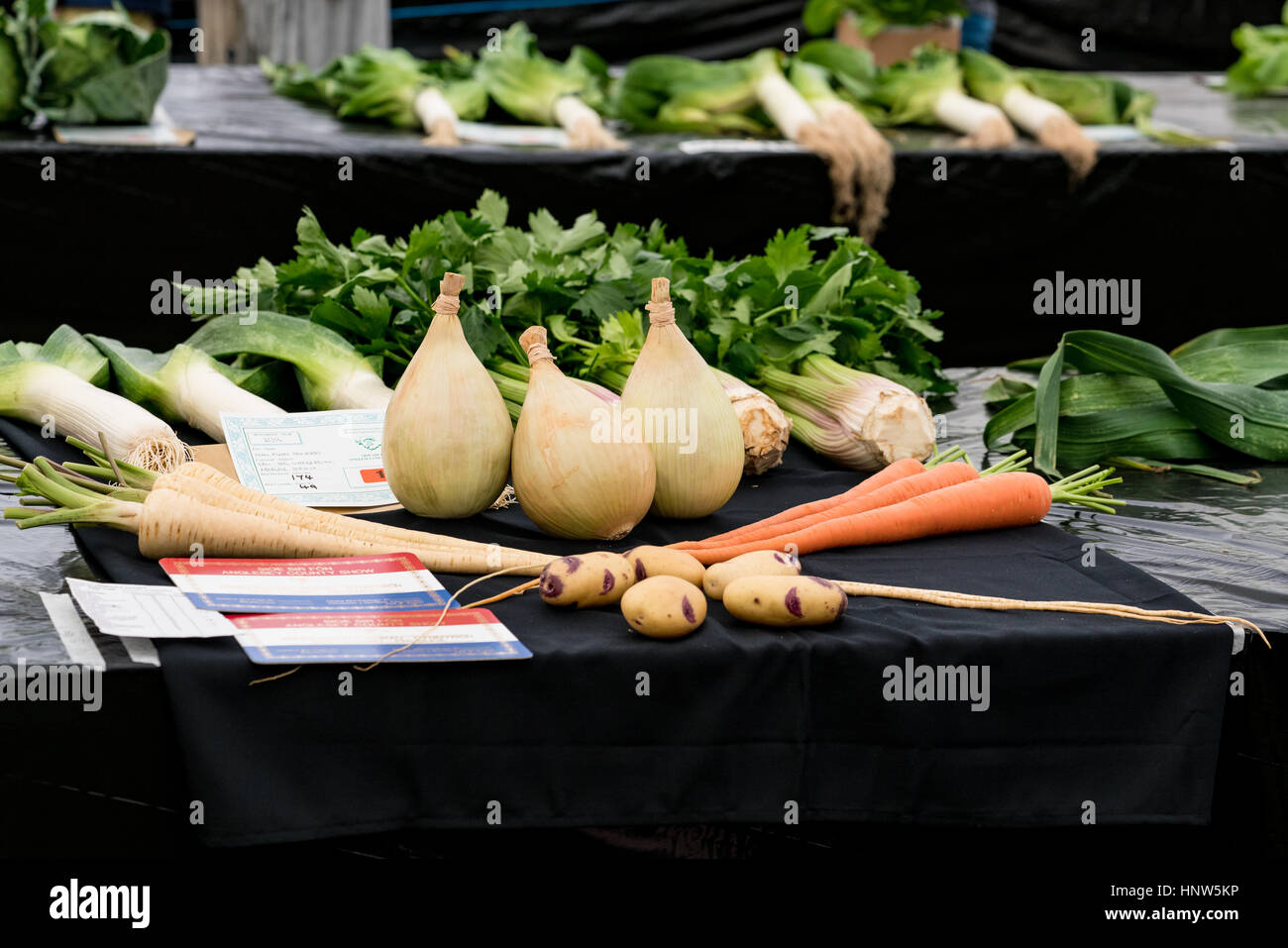 Prize winning entries in the vegetable competition at the Anglesey Show