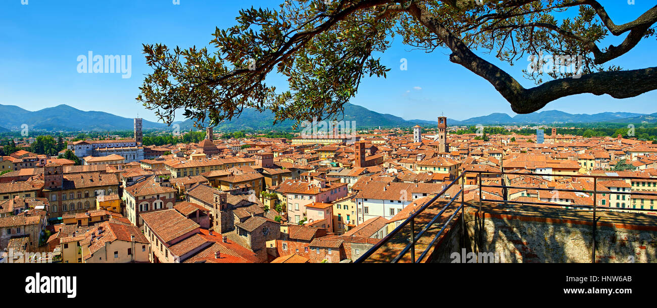 Panoramic roof top view from the Guinigi Tower of the historic centre of  Lucca, Tuscany, Italy Stock Photo
