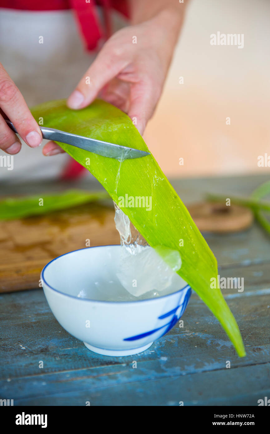 Female hand scraping liquid from aloe leaf in handmade soap workshop Stock Photo