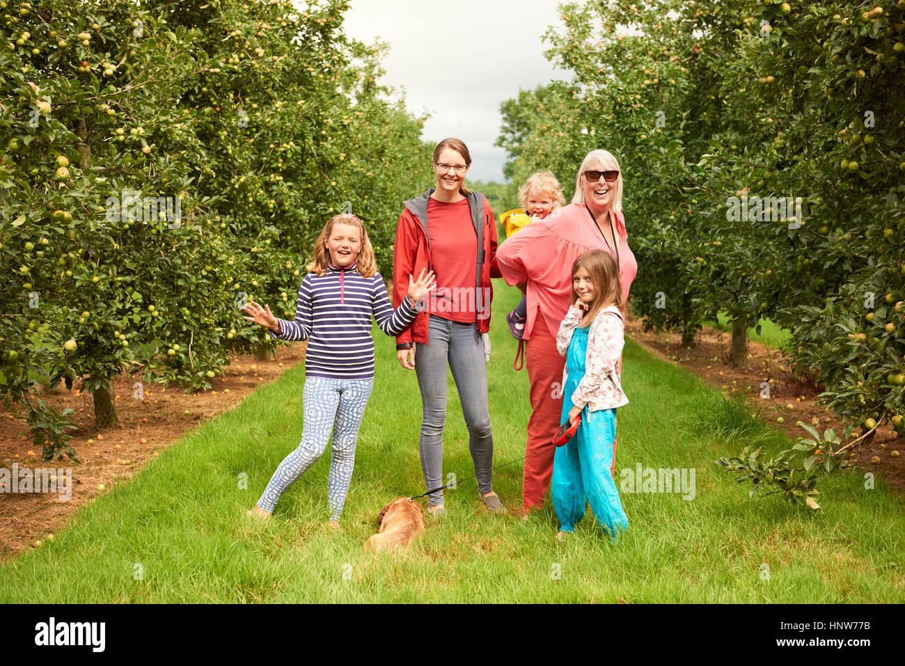 Family walking dog in apple orchard Stock Photo