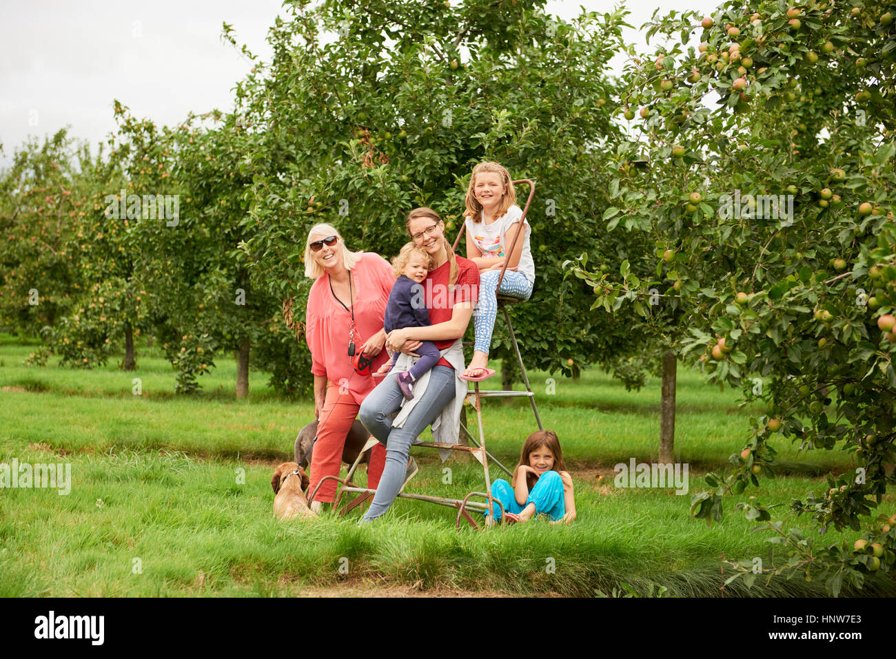 Step sister family hi res stock photography and images Alamy