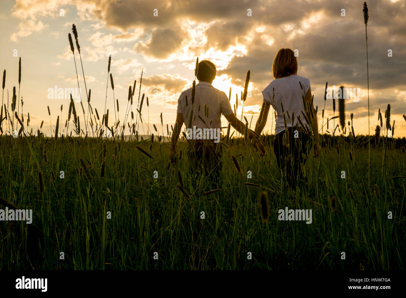 Couple holding hands in field at sunset Stock Photo - Alamy