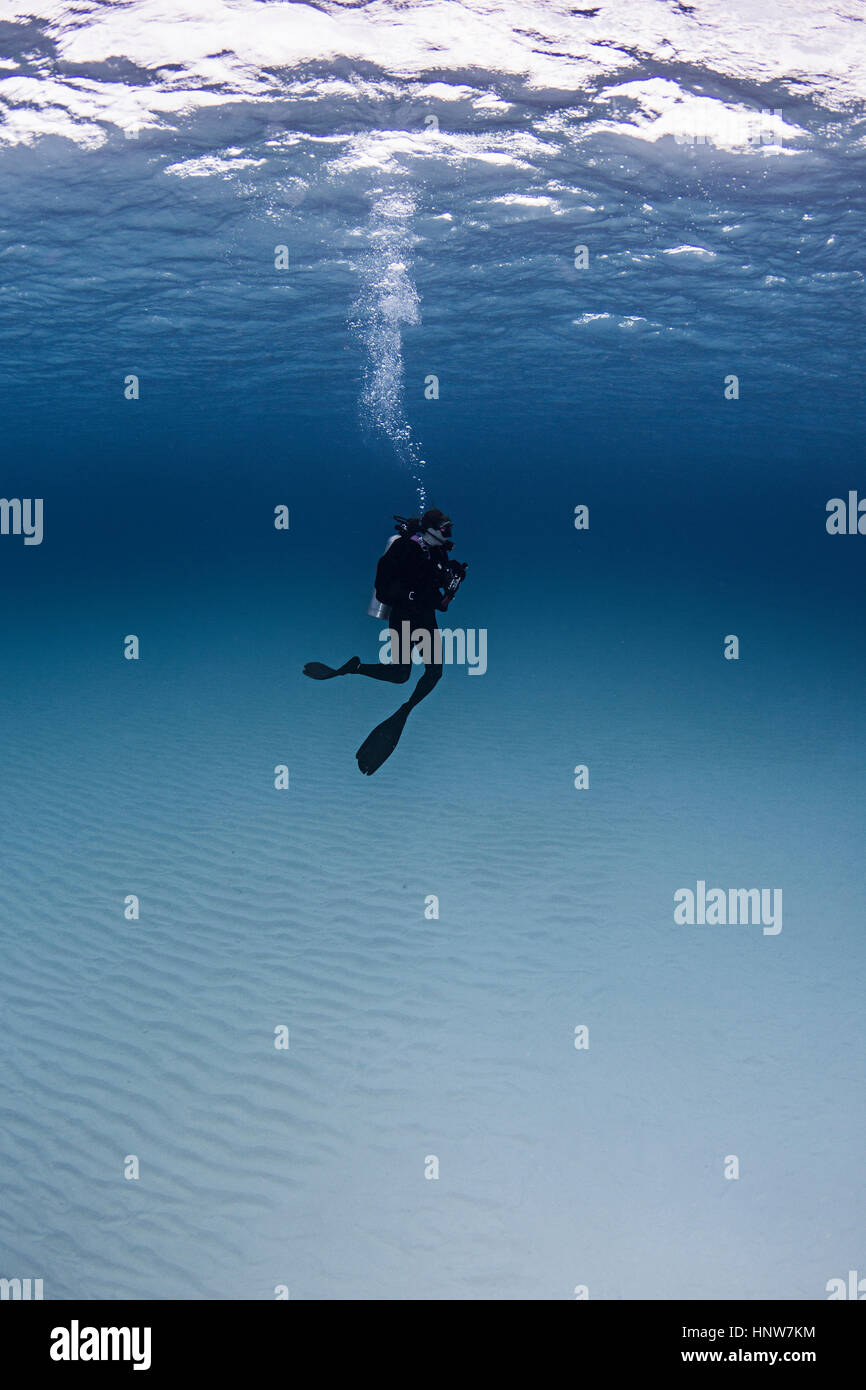 Portrait of diver, underwater view Stock Photo
