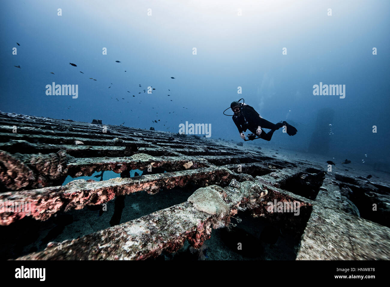 Diver exploring shipwreck, underwater view, Cancun, Mexico Stock Photo