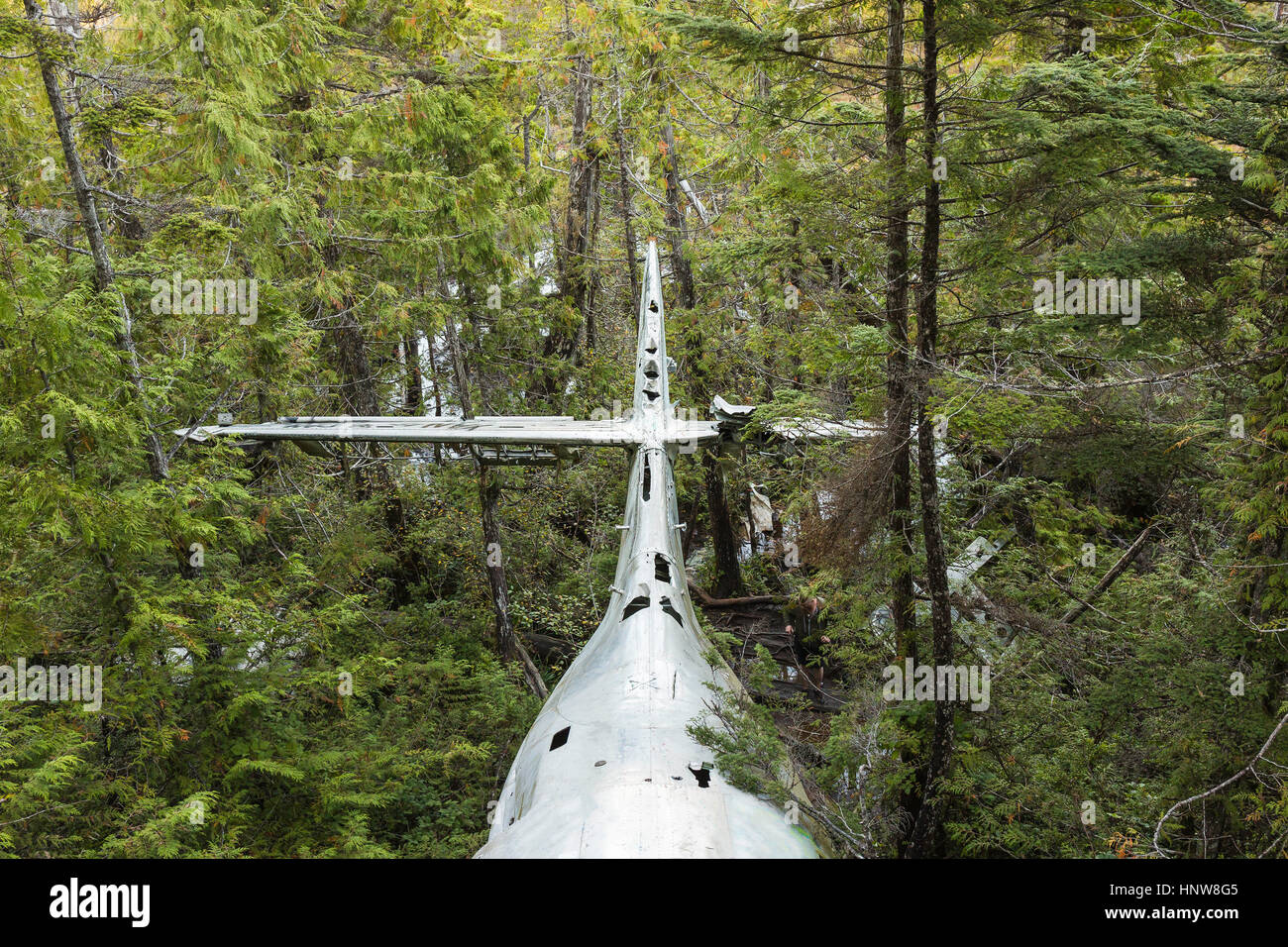WW2 airplane wreckage in rainforest, Pacific Rim National Park, Vancouver Island, British Columbia, Canada Stock Photo