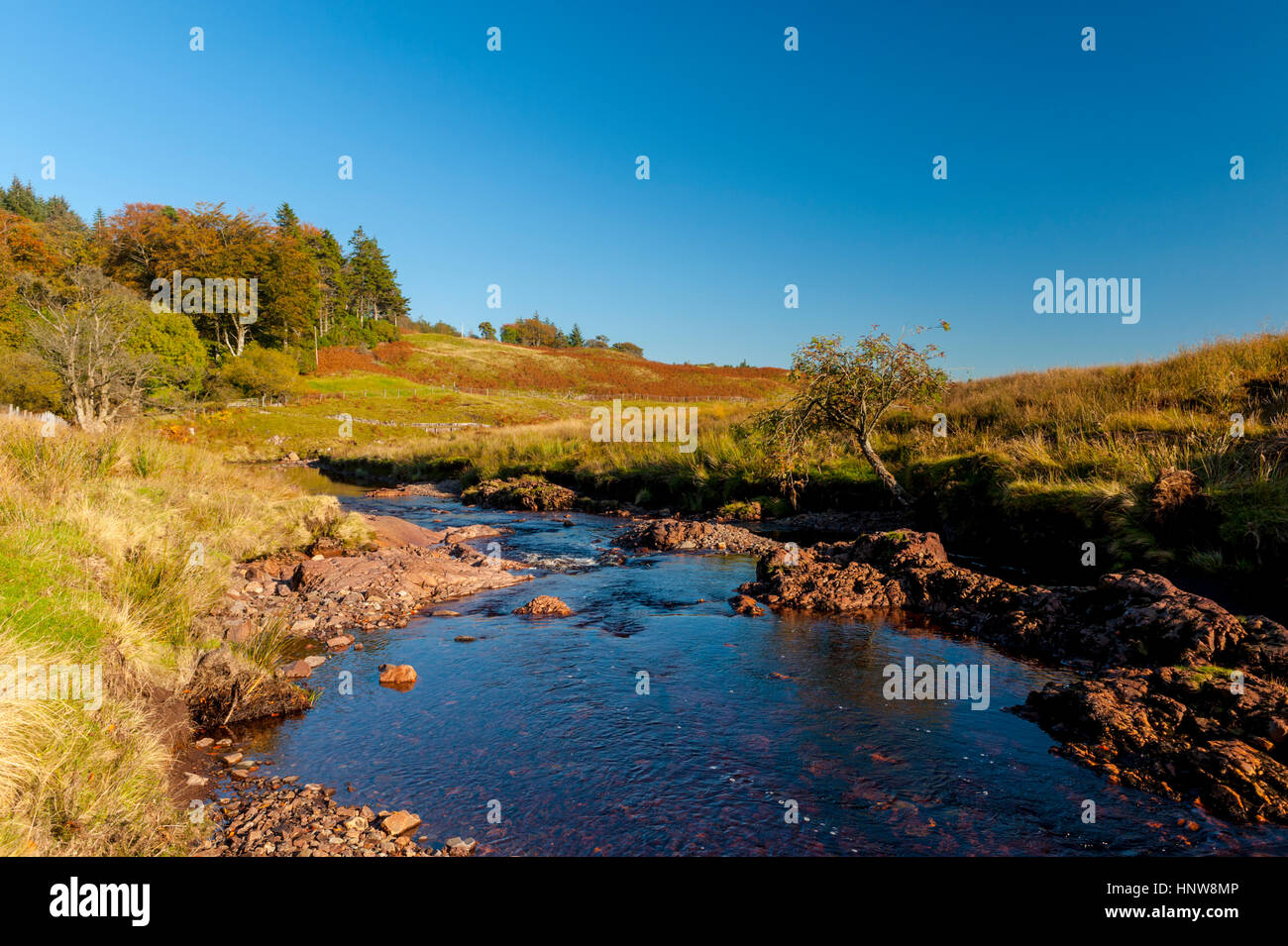Calder park hi-res stock photography and images - Alamy