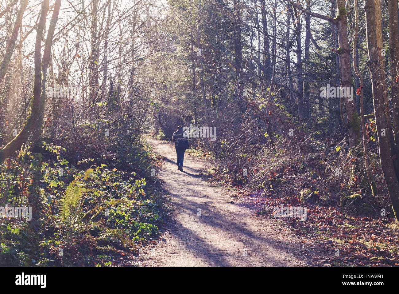 Person walking on path in forest. Victoria, BC, Canada Stock Photo