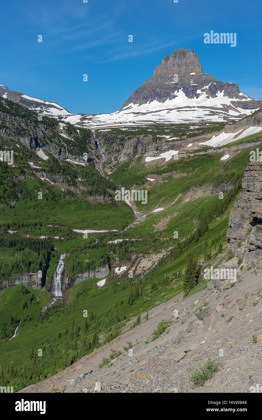 Glacier National Park Montana Wildflowers High Resolution Stock ...