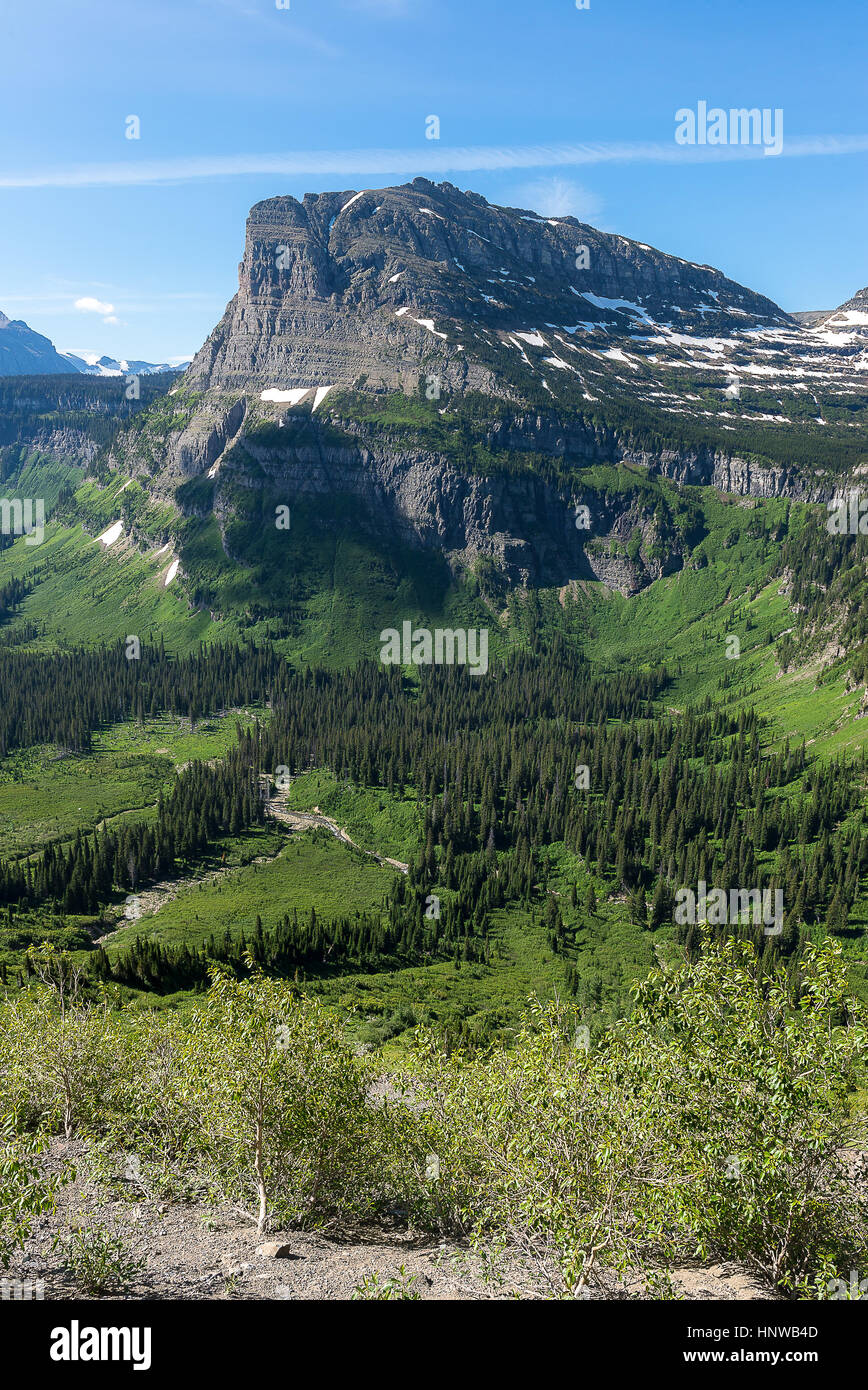 Glacier national park montana wildflowers hi-res stock photography and ...
