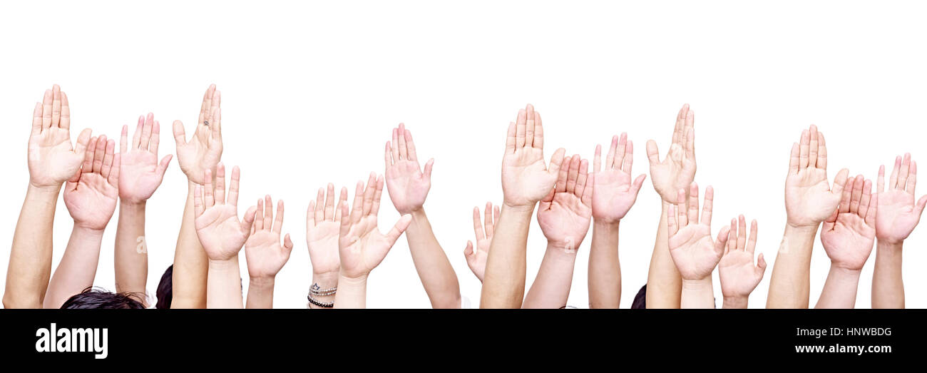 large group of people raising their hands, isolated on white background. Stock Photo