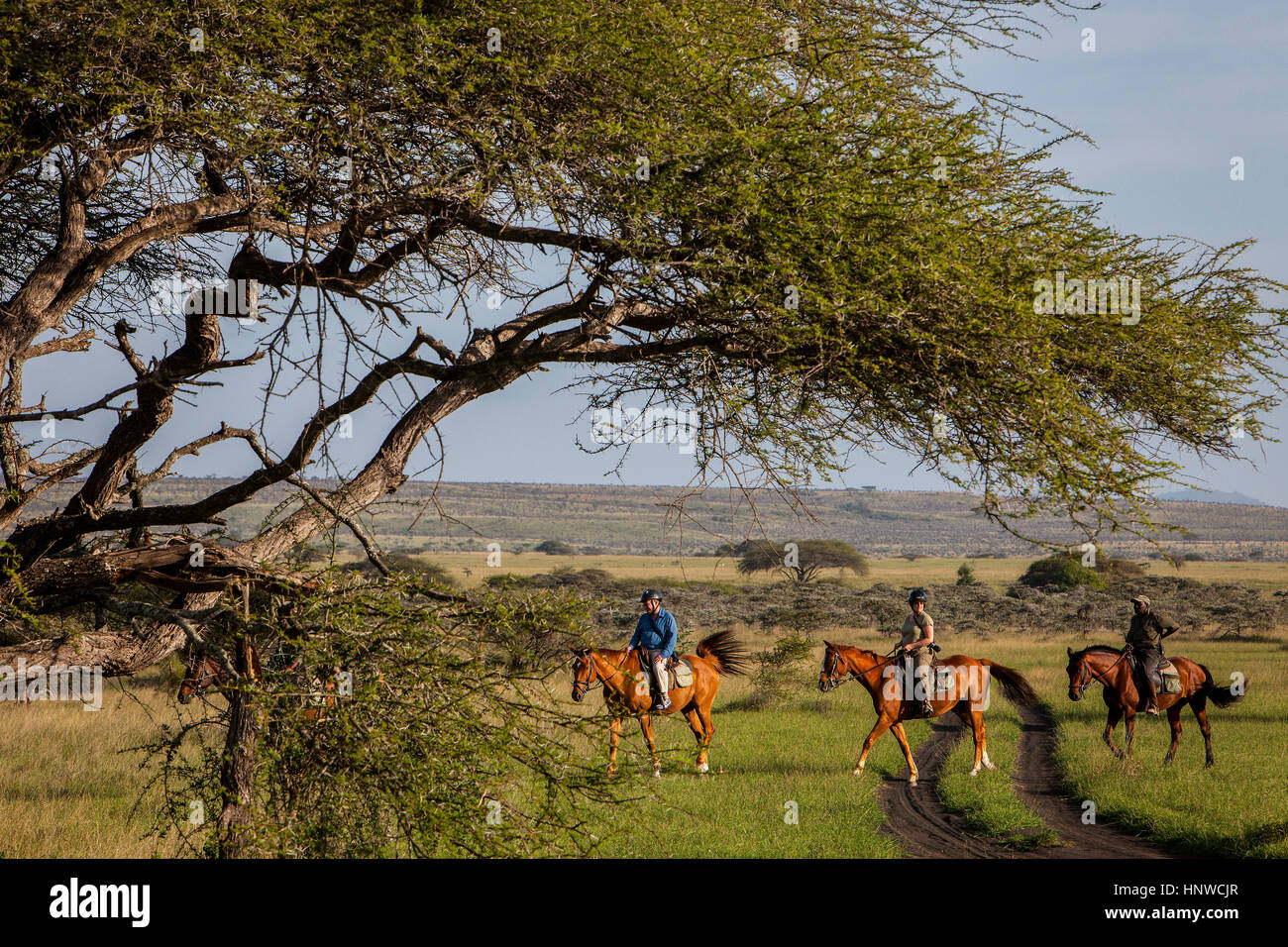 People riding horses, Chyulu Hills National Park, Kenya Stock Photo Alamy