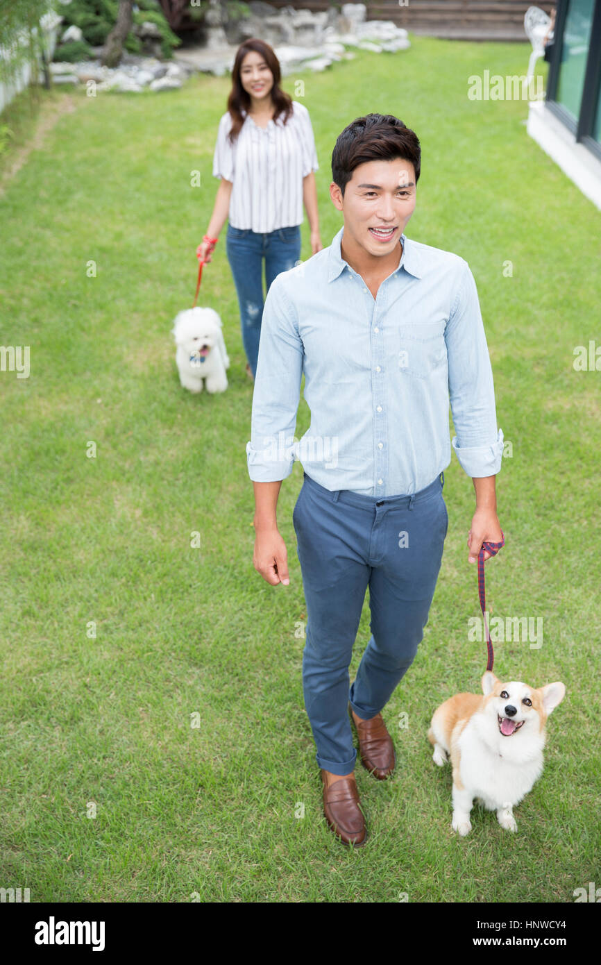 Smiling couple walking with their pet dogs Stock Photo - Alamy