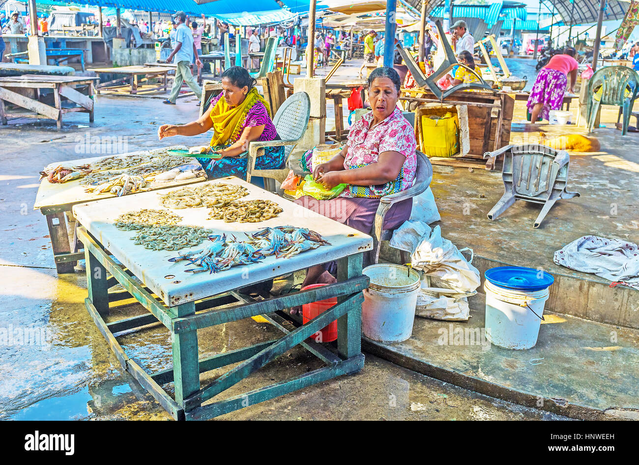 NEGOMBO, SRI LANKA NOVEMBER 25, 2016 The fish traders offer fresh
