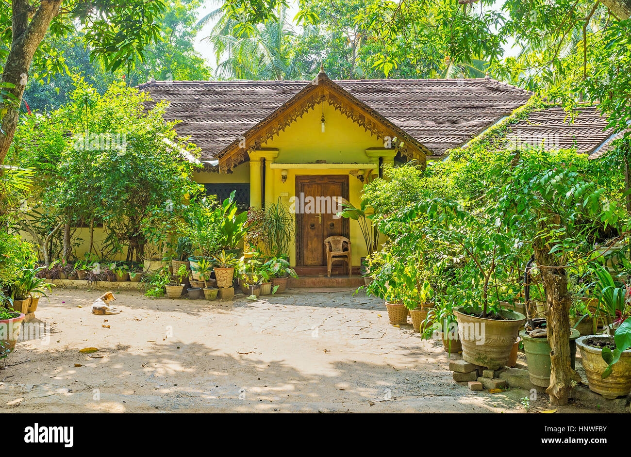 Home Garden In Sri Lanka