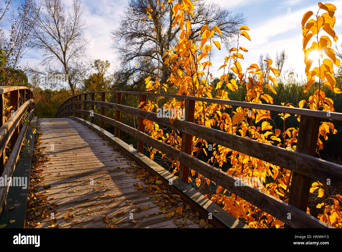 Sunset on autumn fall wood bridge at Parque de Turia of Valencia park in spain Stock Photo