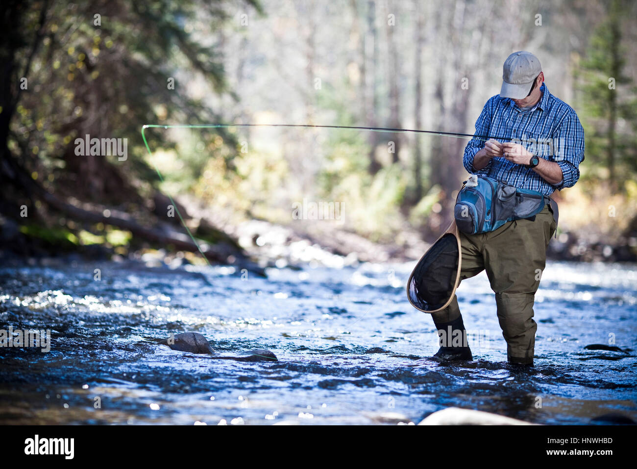 Fisherman ankle deep in river fly fishing, Colorado, USA Stock Photo