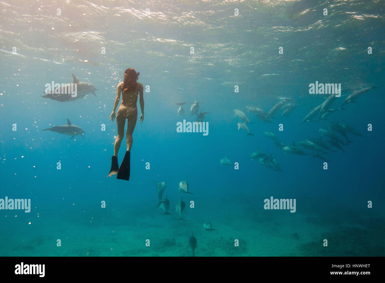 Underwater view of woman snorkeling with sea life, Oahu, Hawaii, USA Stock Photo