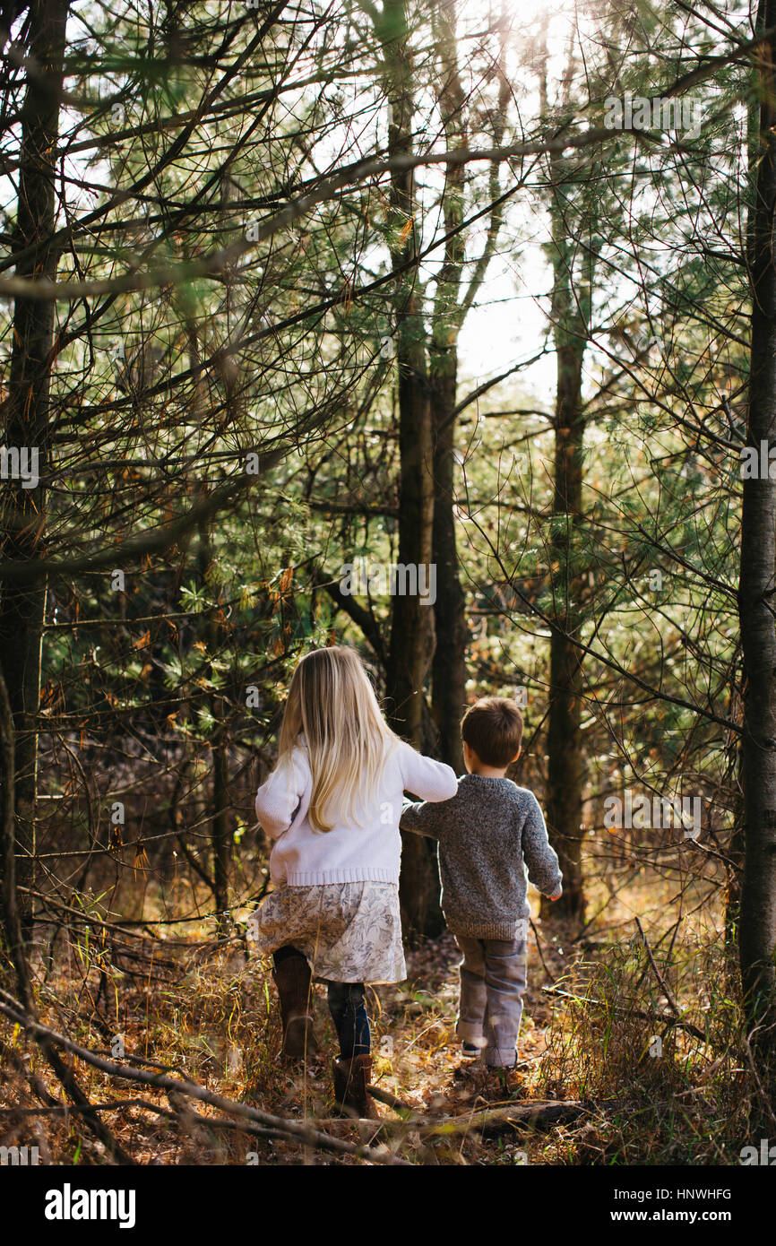 Siblings holding hands walking in forest Stock Photo - Alamy