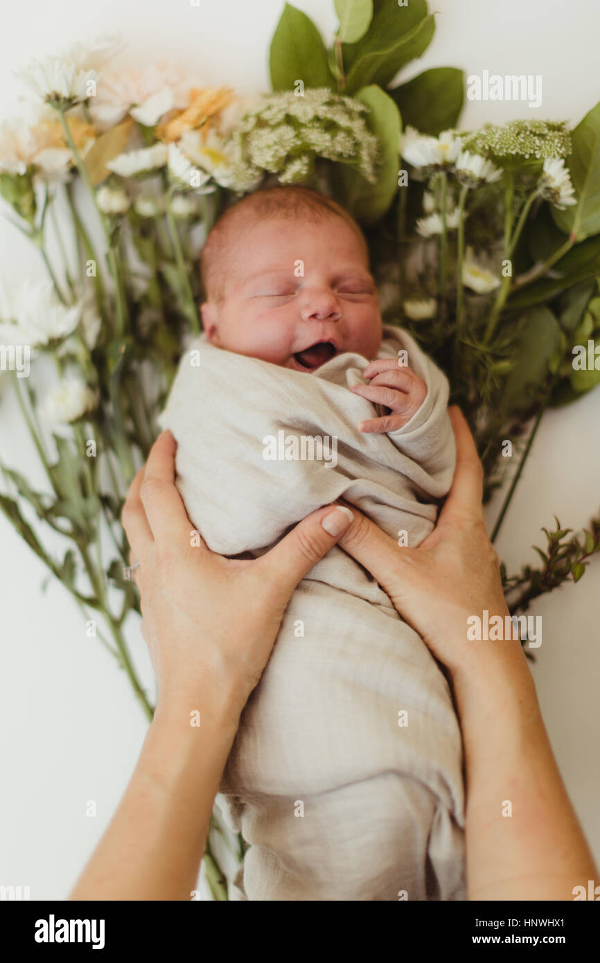 Female hands placing swaddled newborn baby daughter  on flowers Stock Photo