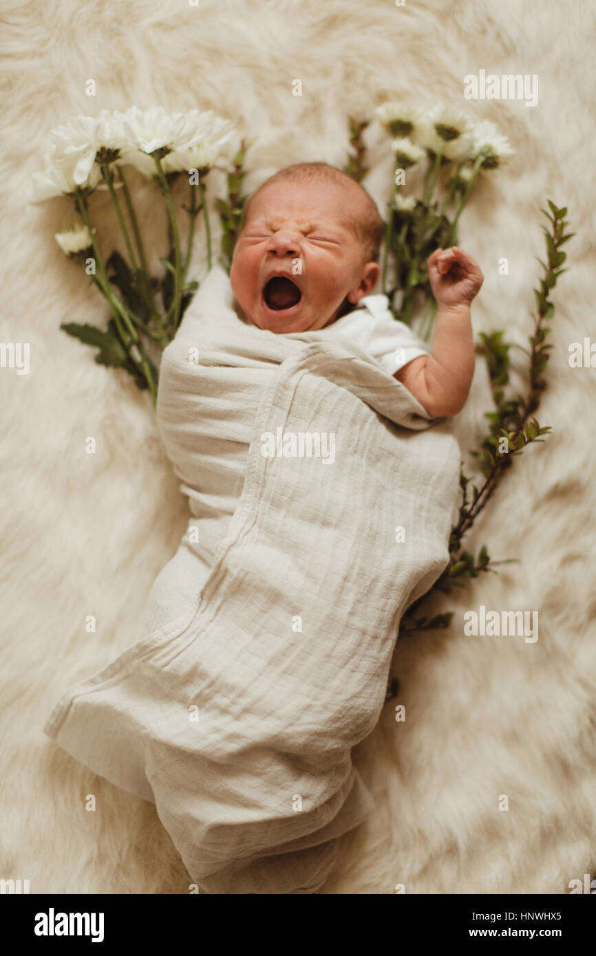 Portrait of swaddled newborn baby girl lying on flowers Stock Photo