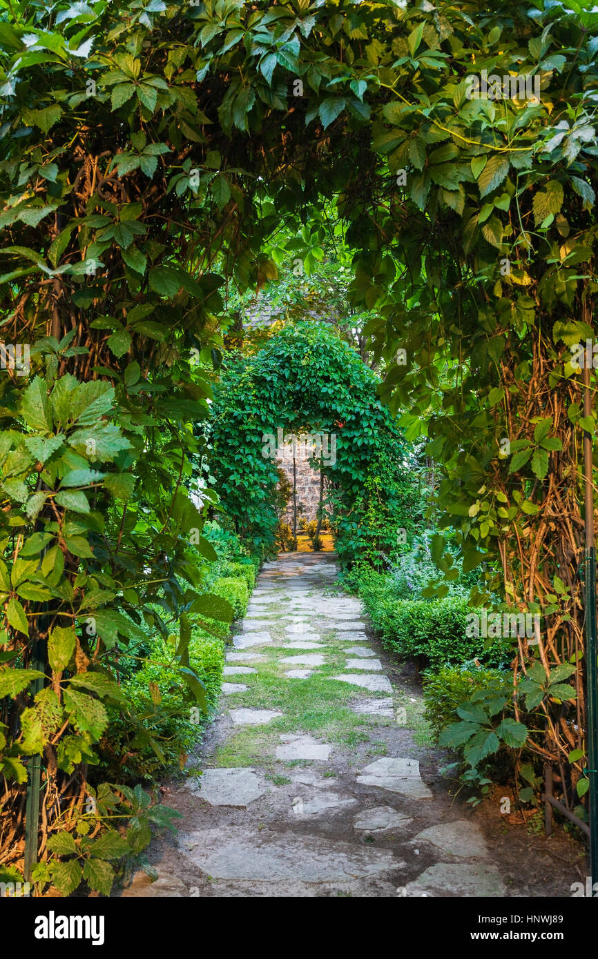 Grey flagstone path through arbours covered with climbing Vitis - Vines in backyard garden at dusk in summer, Quebec, Canada Stock Photo