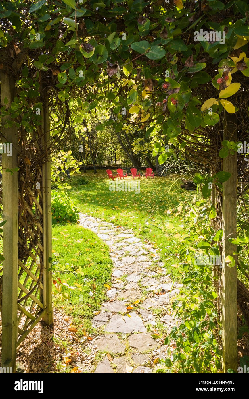 Red Adirondack chairs on lawn and flagstone path through wooden lattice arbour covered with honeysuckle, Quebec, Canada Stock Photo
