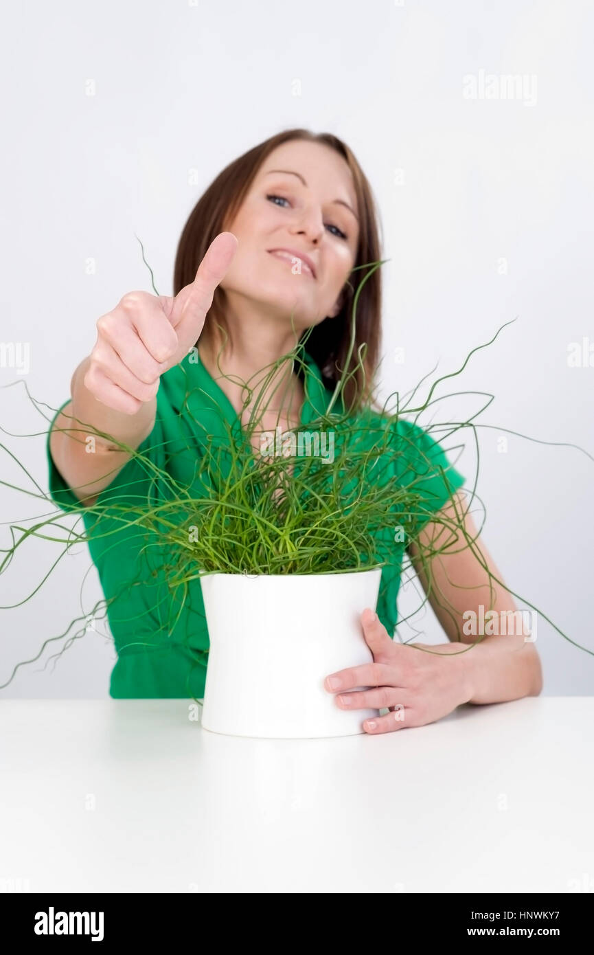 Model release, Junge Frau mit Zimmerpflanze (Juncus Spiralis) - woman with potted plant Stock Photo