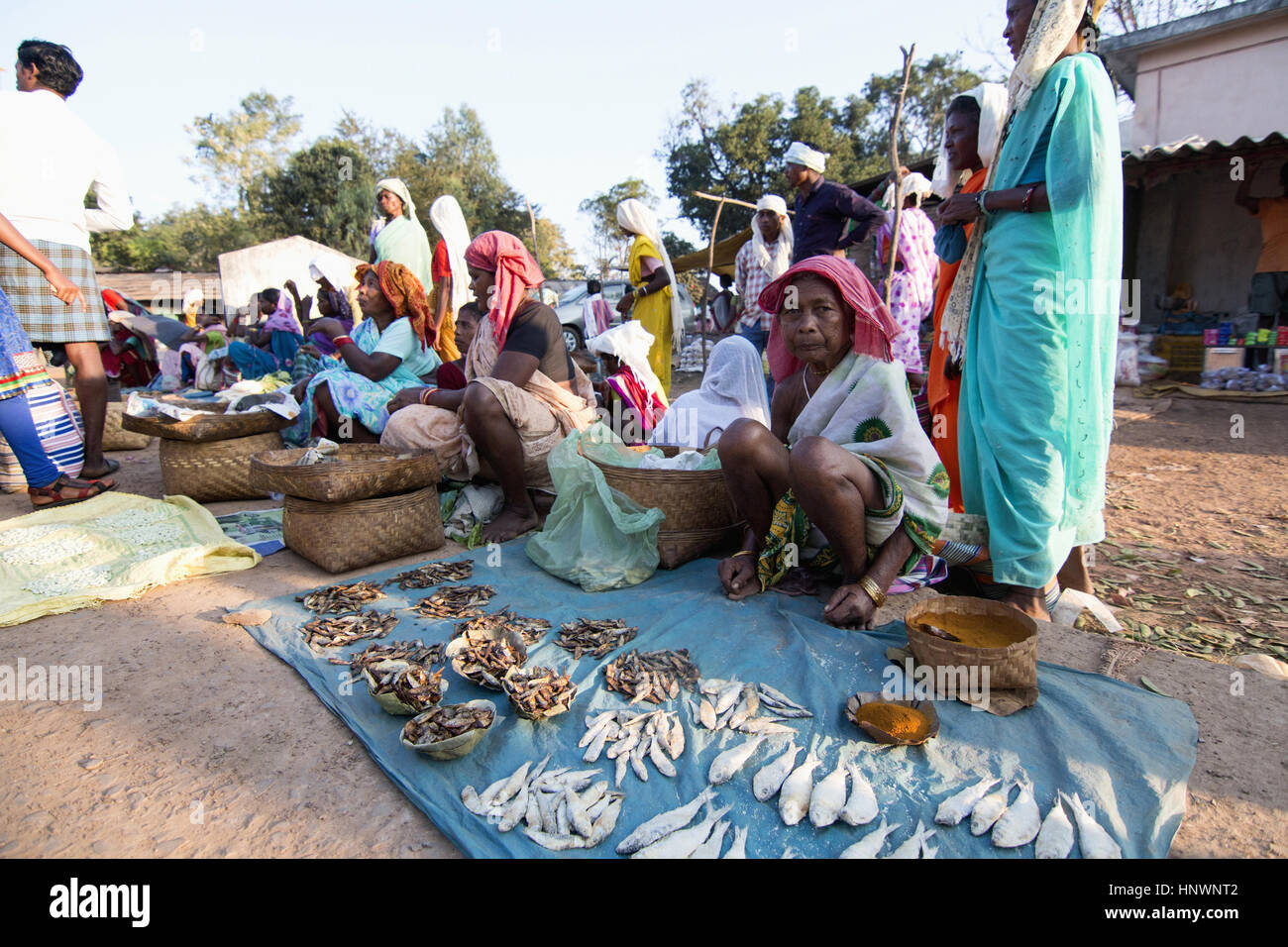 Tribal market, Kanger Valley National Park, Chhattisgarh. Tribal village in Bastar district Stock Photo