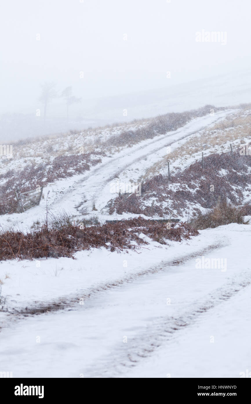 Off road track leading into the hills with snow falling and on the