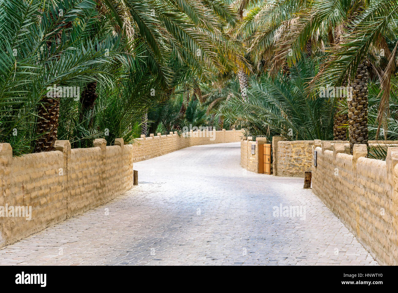To and Fro: Meandering in Oasis To and Fro: Meandering in Oasis