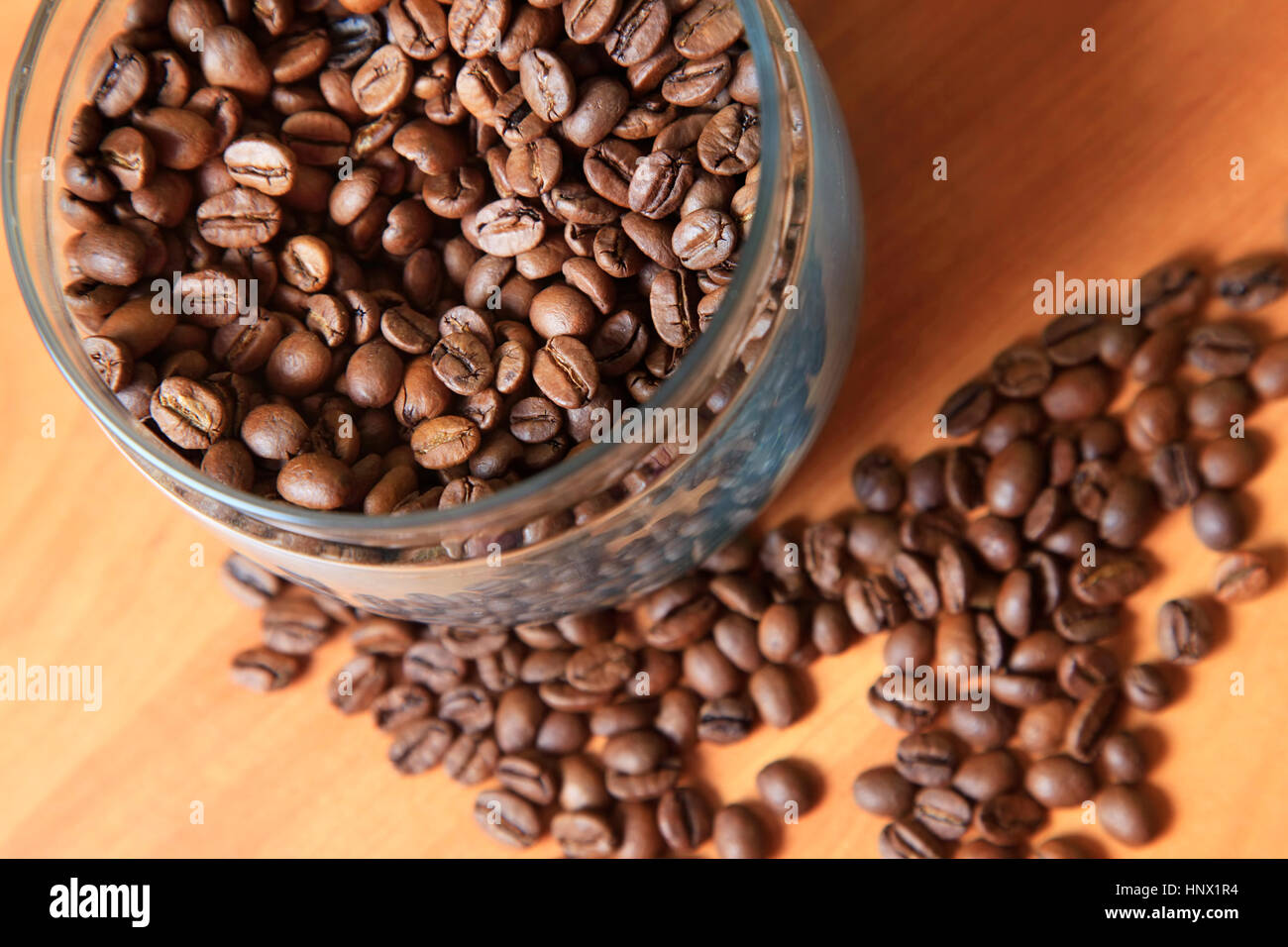 Coffee-Mate Hazelnut Powder Creamer 15oz main image 1