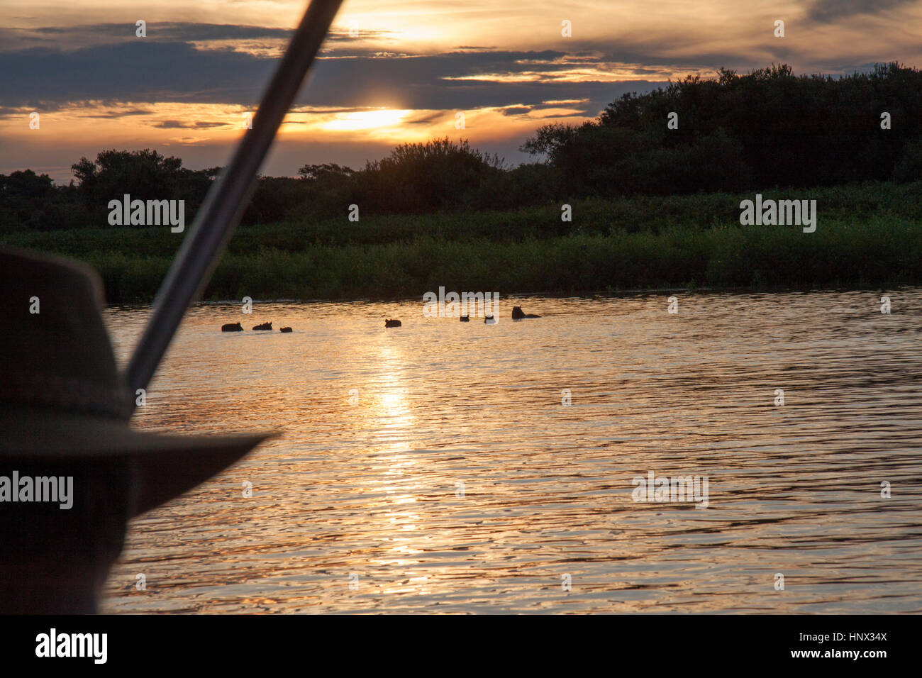 Sunset on river in the Pantanal Brazil Stock Photo