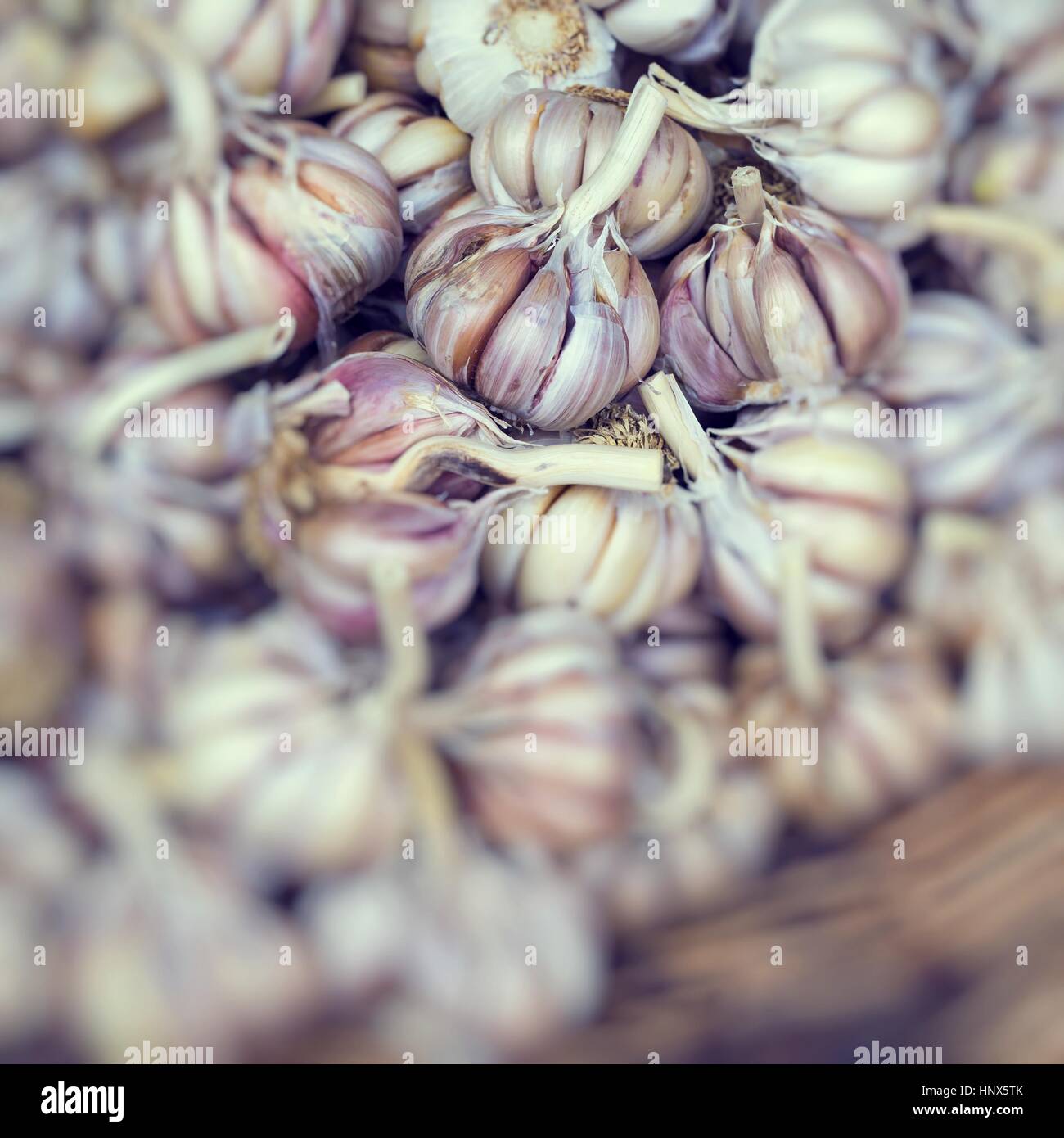 fresh garlics in a market Stock Photo - Alamy