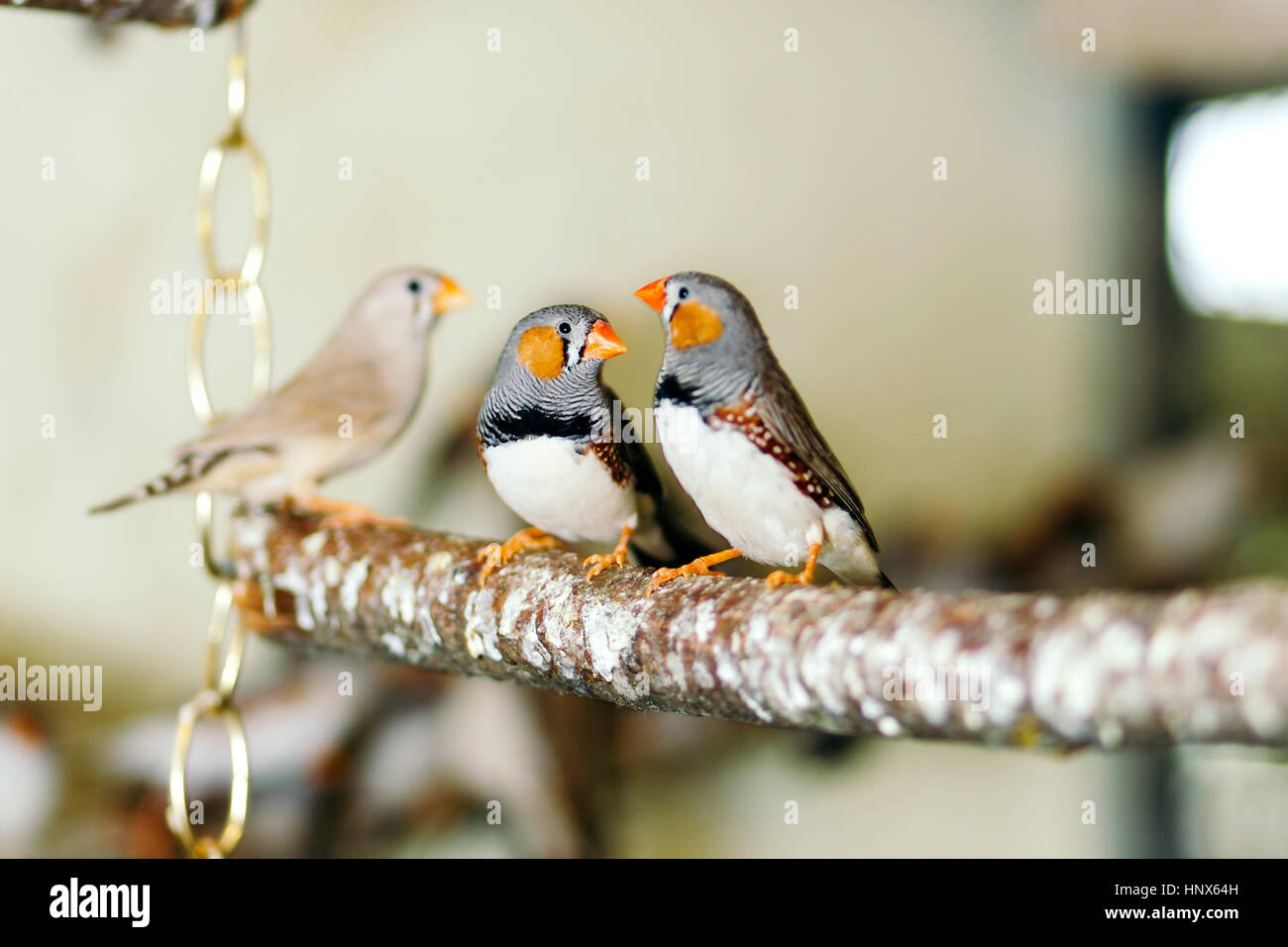 Sitting on a crate hires stock photography and images Alamy