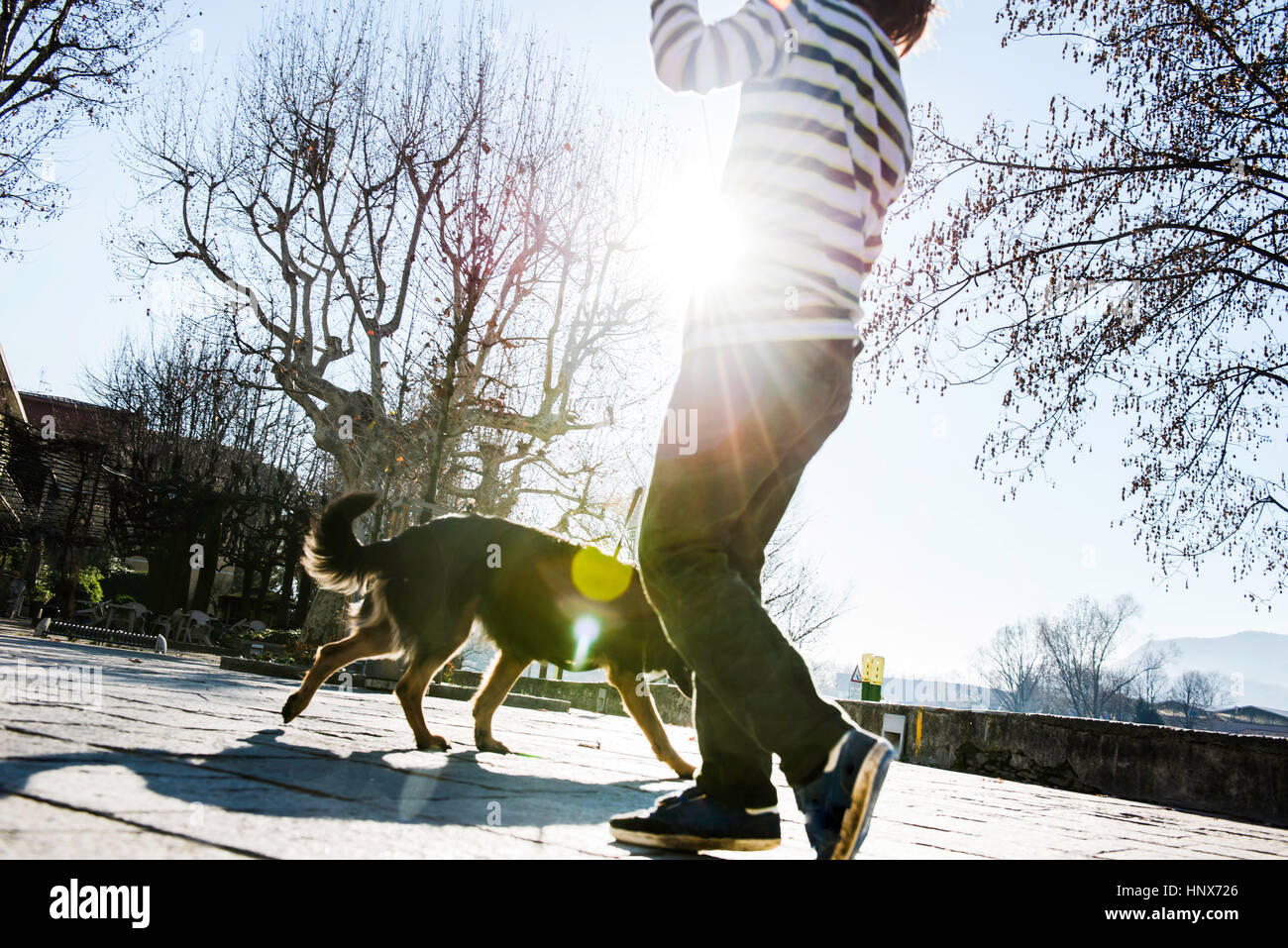 Boy playing with his best friend, his pet dog Stock Photo