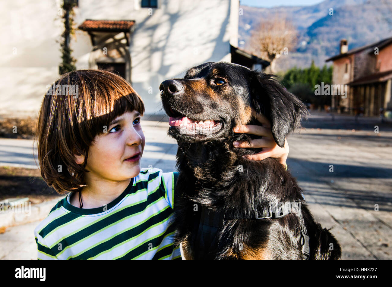 Boy playing with his best friend, his pet dog Stock Photo