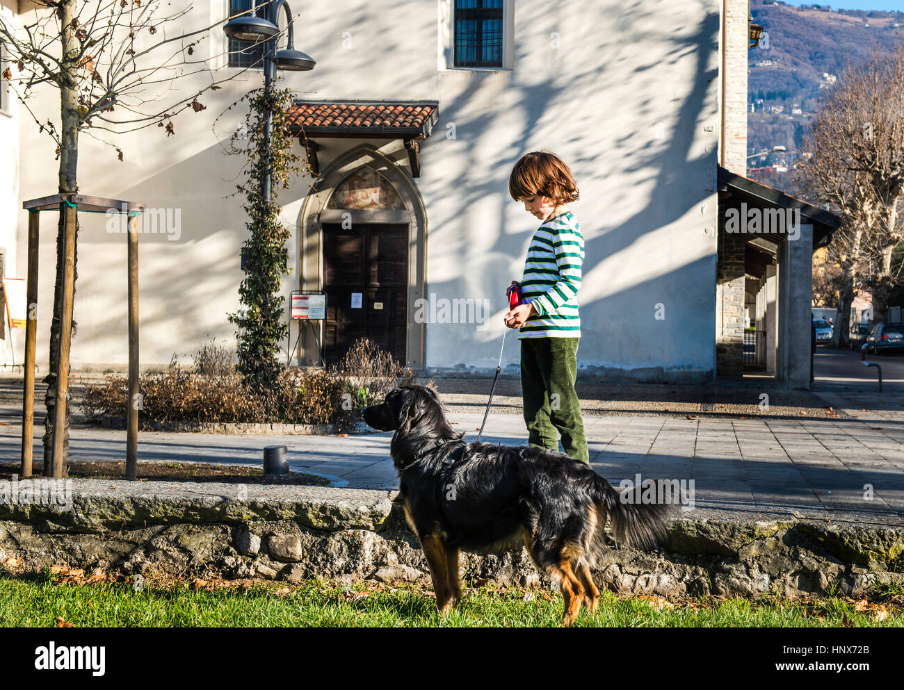 Boy playing with his best friend, his pet dog Stock Photo