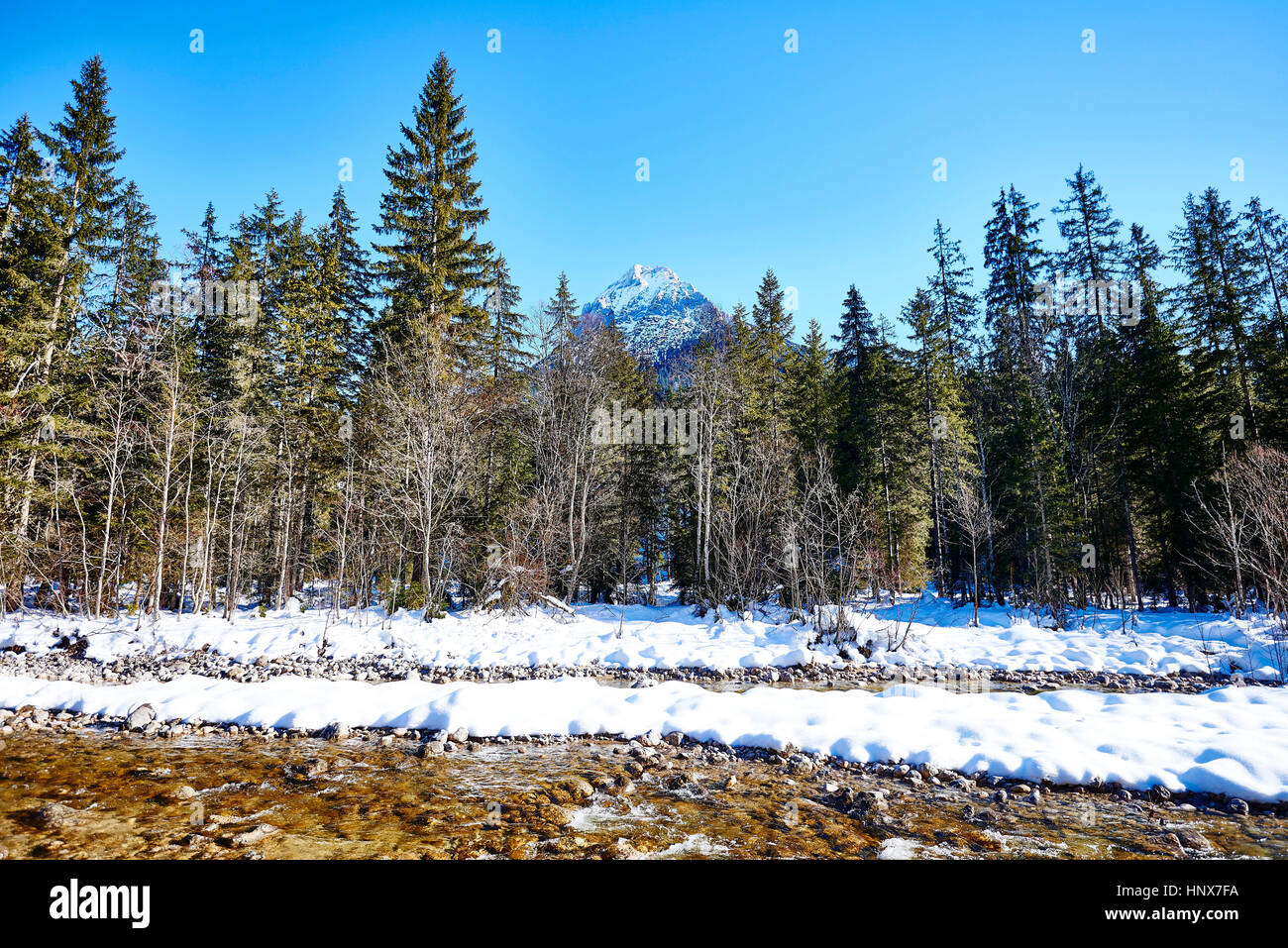 Snowy winter forest river hi-res stock photography and images - Alamy