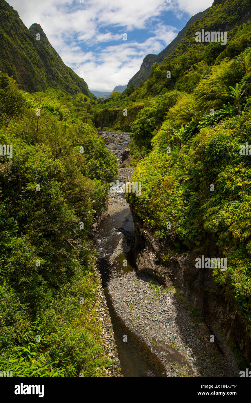 High angle view of rainforest mountain landscape and river, Reunion Island Stock Photo