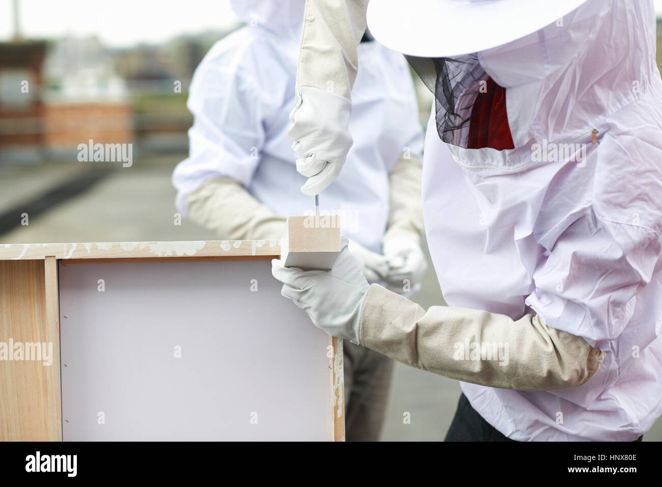 Beekeeper inspecting hive Stock Photo