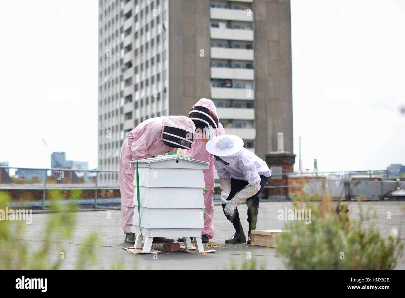 Group of beekeepers inspecting hive Stock Photo