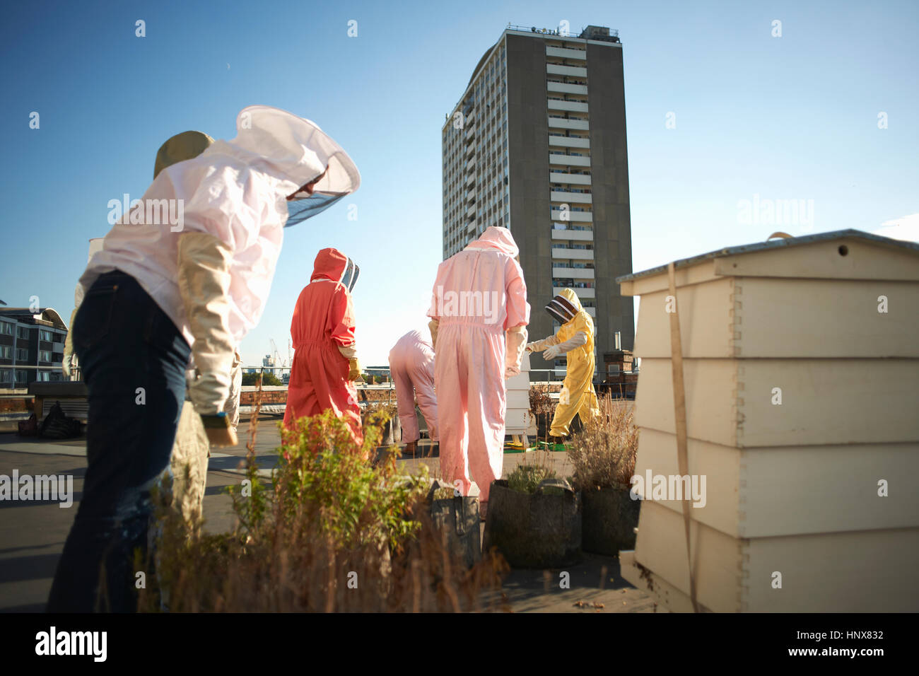 Beekeepers tending aviary on city rooftop Stock Photo