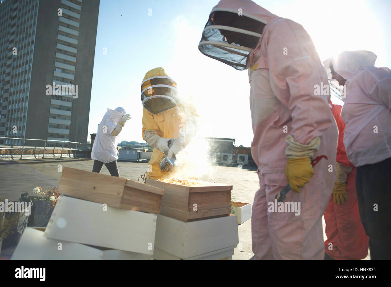Male and female beekeepers using bee smoker on city rooftop Stock Photo