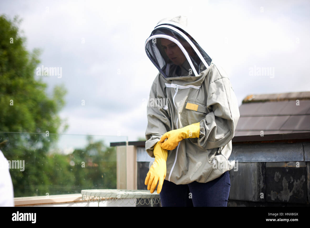 Beekeeper wearing beesuit, preparing to inspect hive Stock Photo