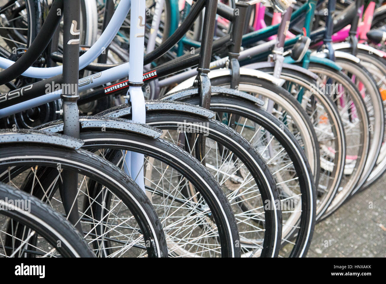 Street scene of bikes in Amsterdam, Holland. Stock Photo