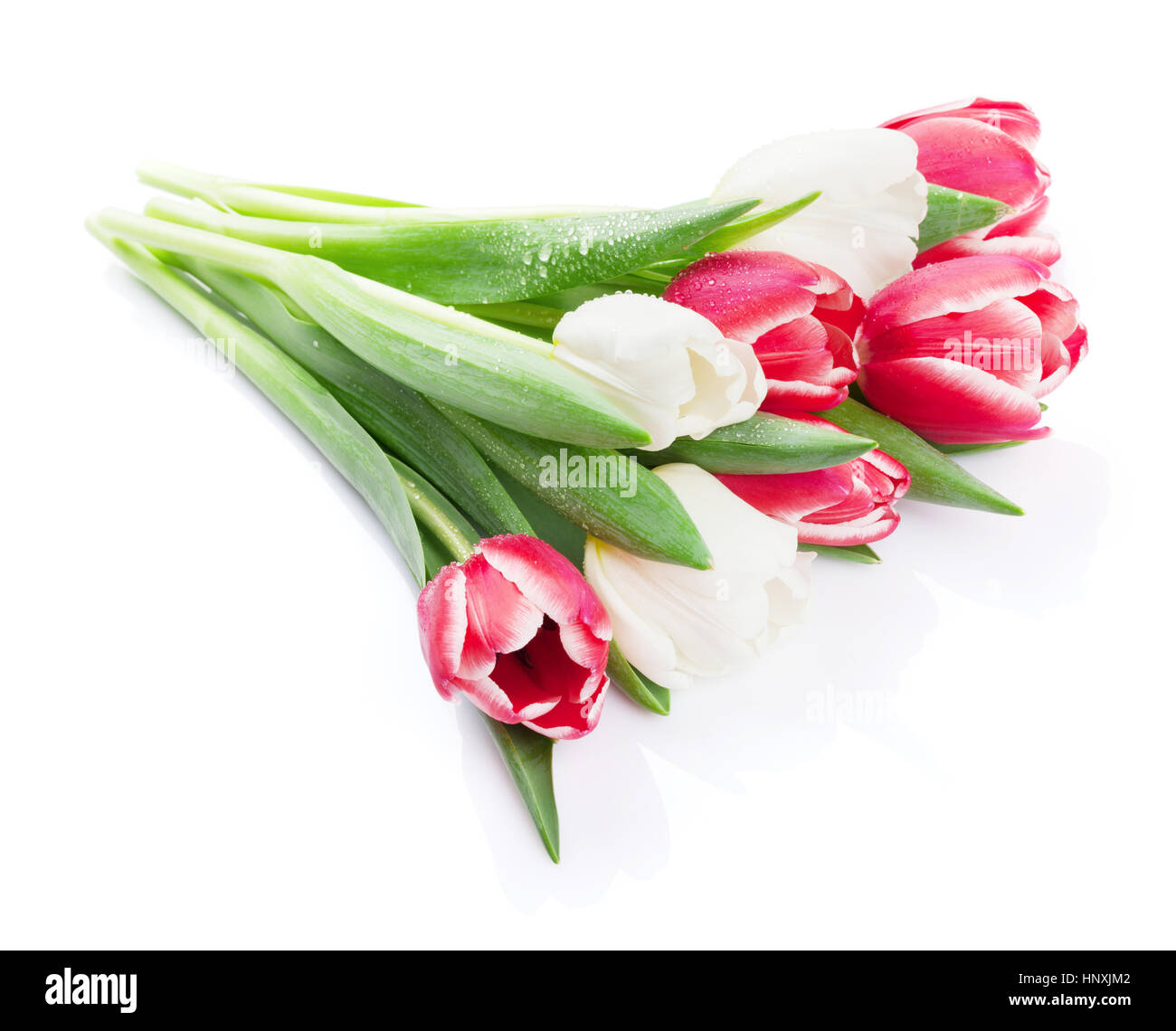 Colorful tulips bouquet. Isolated on white background Stock Photo - Alamy