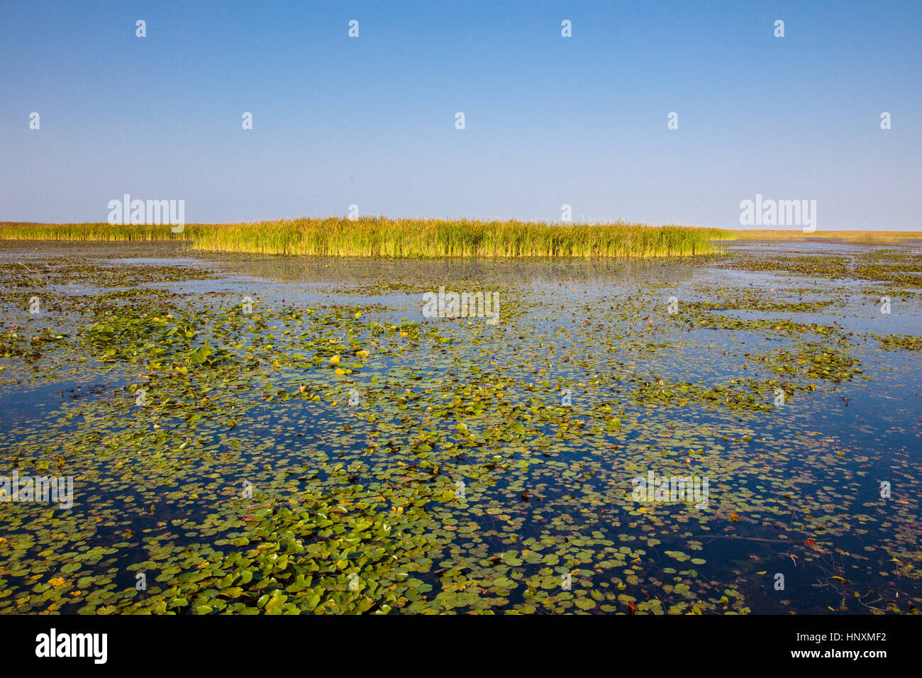Marsh land at Lake Okeechobee in Central Florida Stock Photo