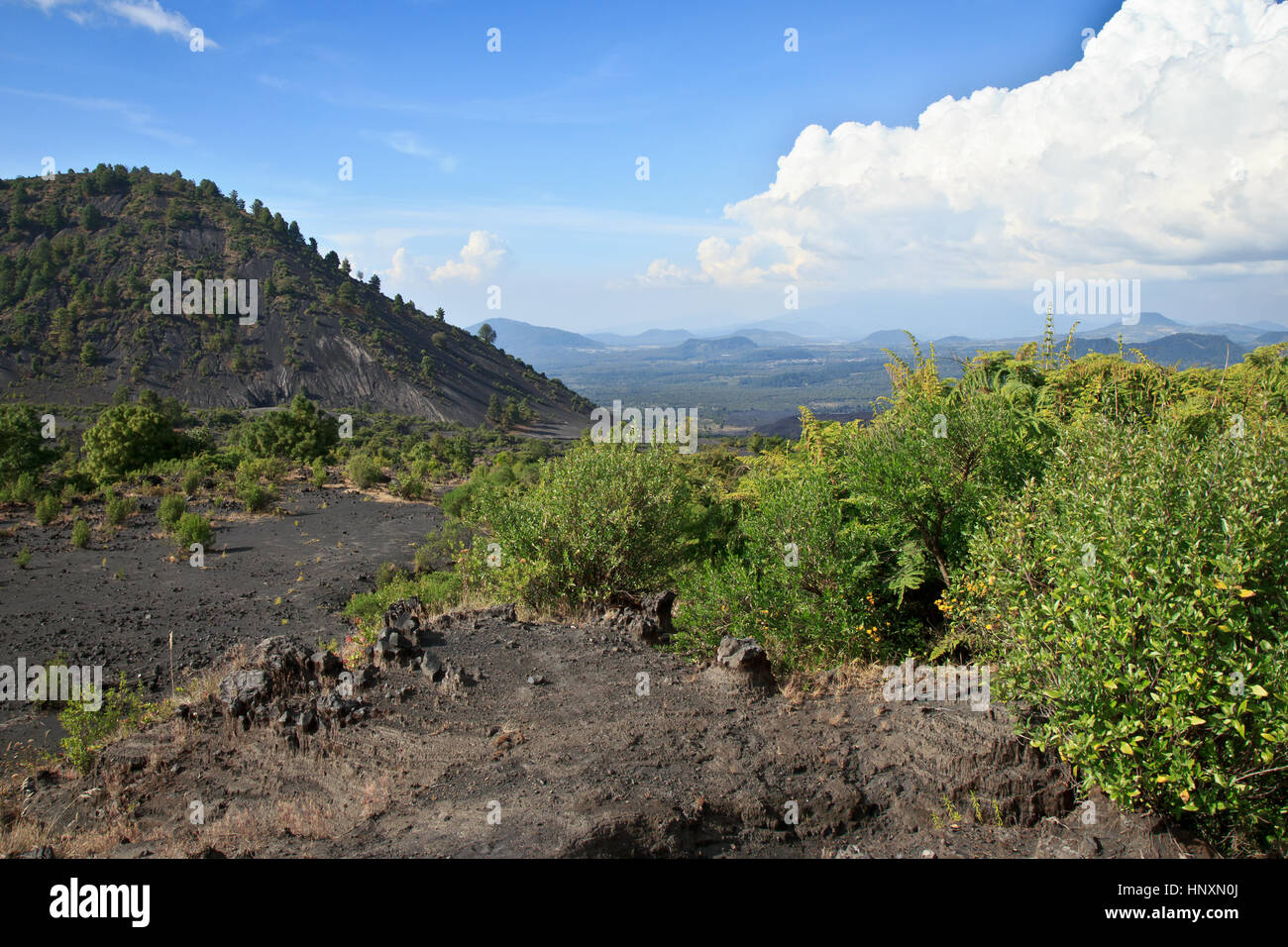 View from Paricutin volcano, Mexico Stock Photo